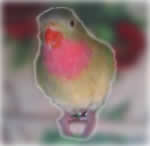 Tony